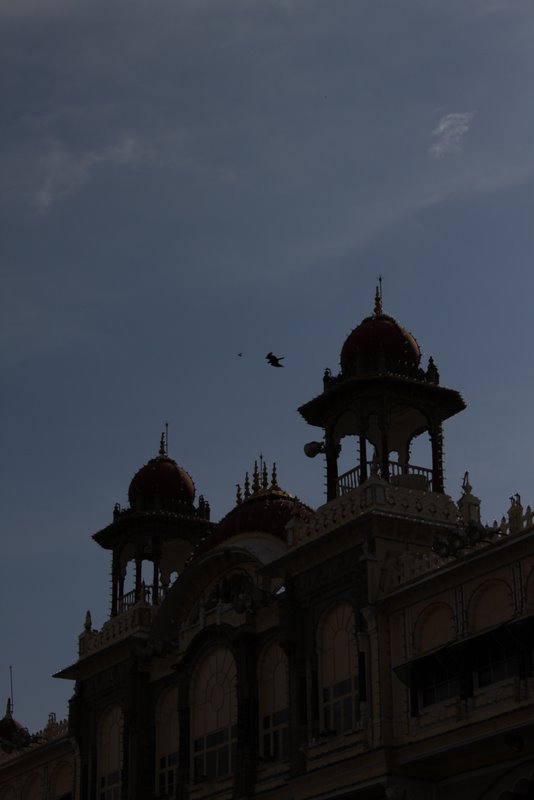 India 2010 - Mysore Palace